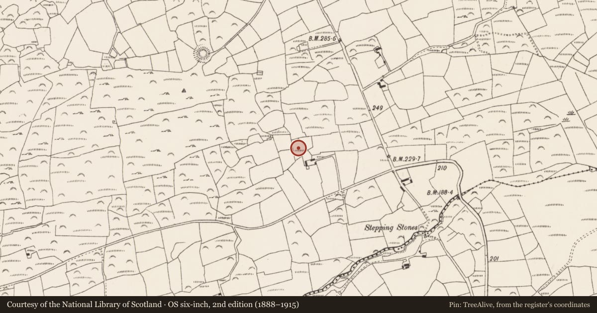Ordnance Survey six-inch map, 2nd edition (1888–1915) covering the location of Burnt mound, Ratooragh, County Cork, with a pin at the register's coordinates