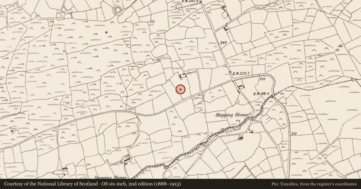 Ordnance Survey six-inch map, 2nd edition (1888–1915) covering the location of Burnt mound, Ratooragh, County Cork, with a pin at the register's coordinates