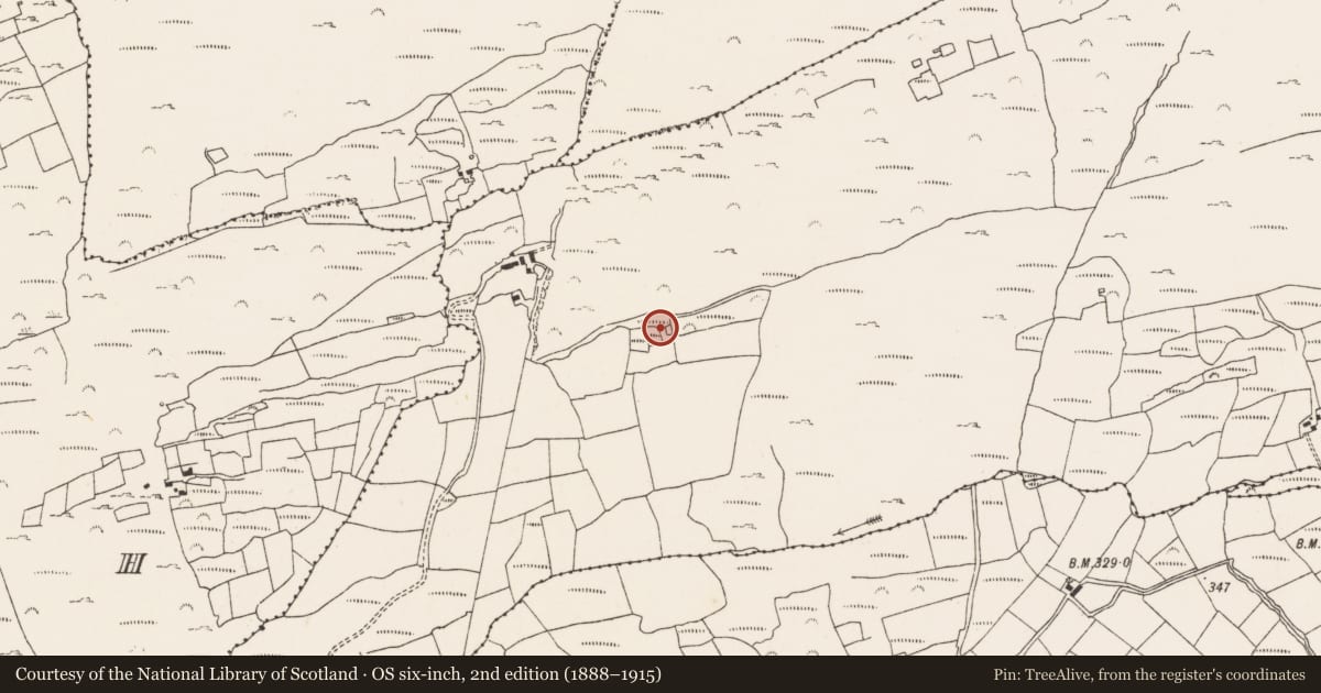 Ordnance Survey six-inch map, 2nd edition (1888–1915) covering the location of Children's burial ground, Shantullig South, County Cork, with a pin at the register's coordinates