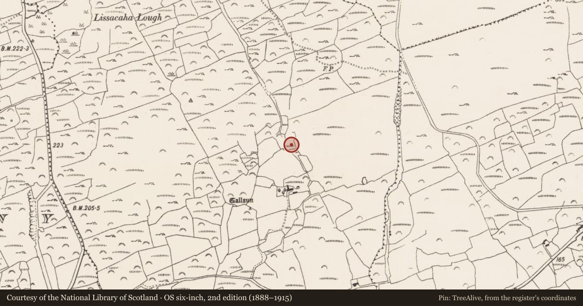 Ordnance Survey six-inch map, 2nd edition (1888–1915) covering the location of Enclosure, Lissacaha, County Cork, with a pin at the register's coordinates