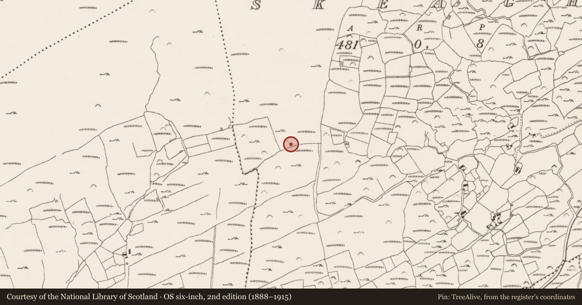Ordnance Survey six-inch map, 2nd edition (1888–1915) covering the location of Standing stone, Skeagh, County Cork, with a pin at the register's coordinates