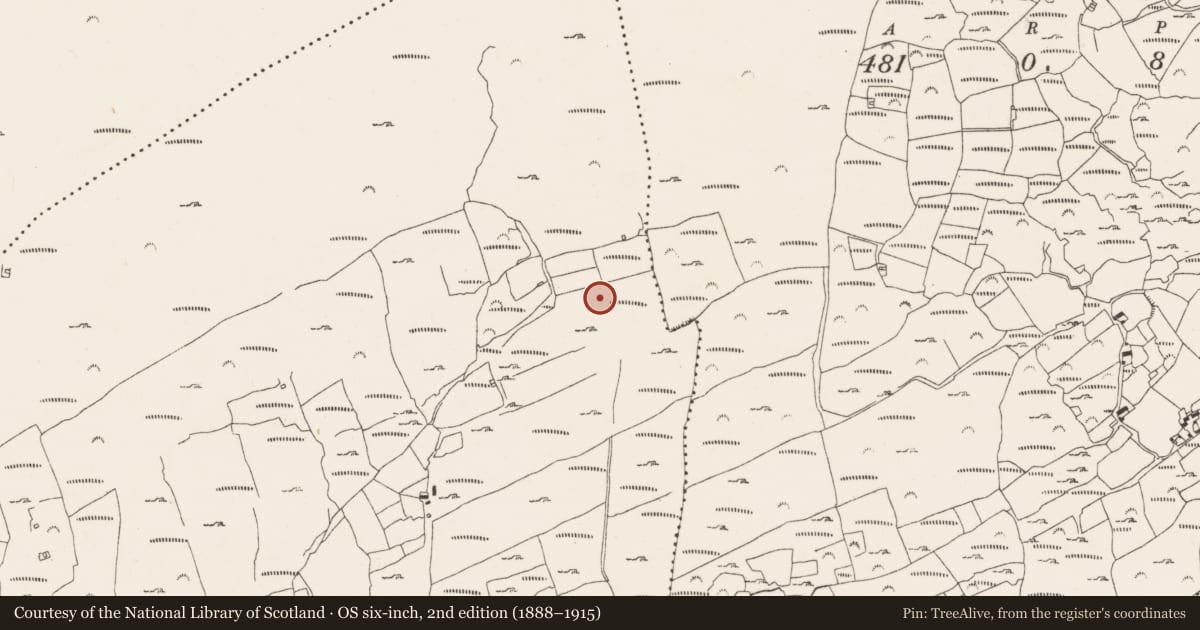 Ordnance Survey six-inch map, 2nd edition (1888–1915) covering the location of Standing stone, Ardmanagh, County Cork, with a pin at the register's coordinates