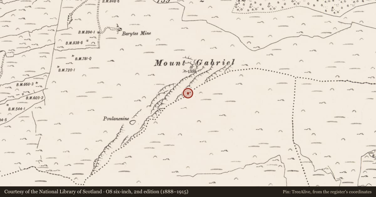 Ordnance Survey six-inch map, 2nd edition (1888–1915) covering the location of Hut site, Skeagh, County Cork, with a pin at the register's coordinates
