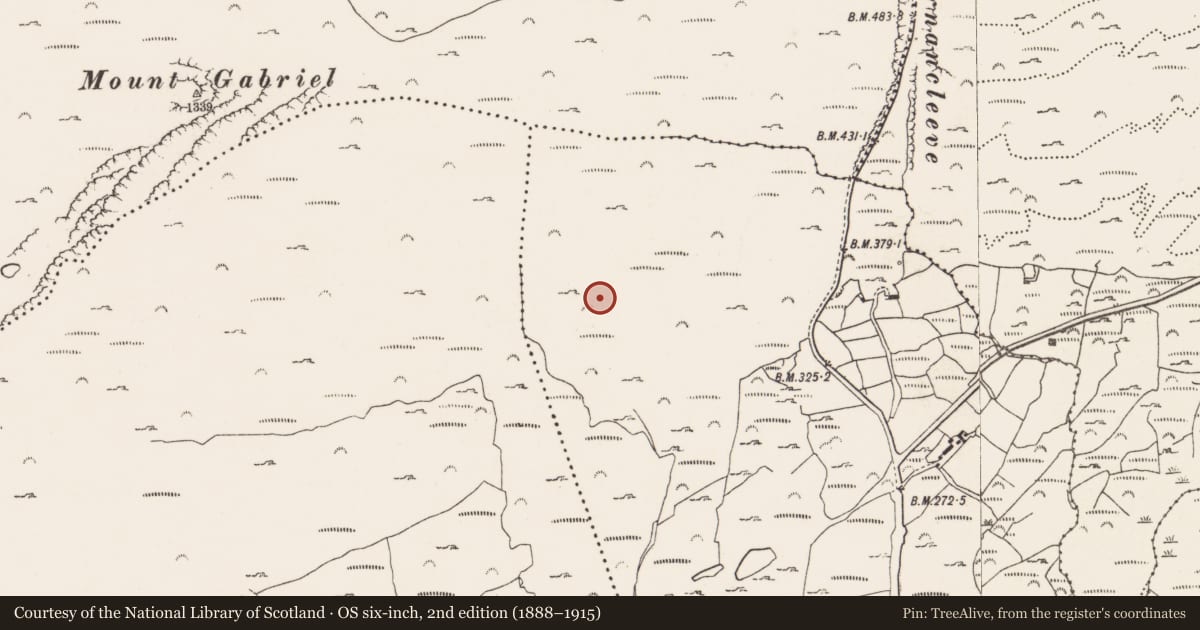 Ordnance Survey six-inch map, 2nd edition (1888–1915) covering the location of Hut site, Rathcool, County Cork, with a pin at the register's coordinates