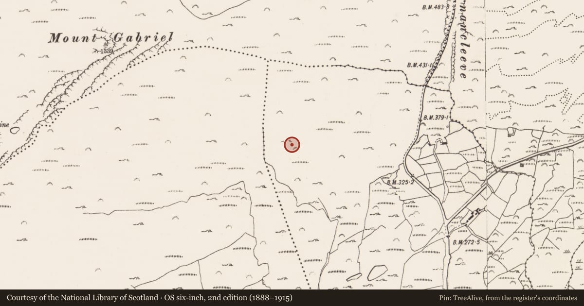 Ordnance Survey six-inch map, 2nd edition (1888–1915) covering the location of Hut site, Rathcool, County Cork, with a pin at the register's coordinates