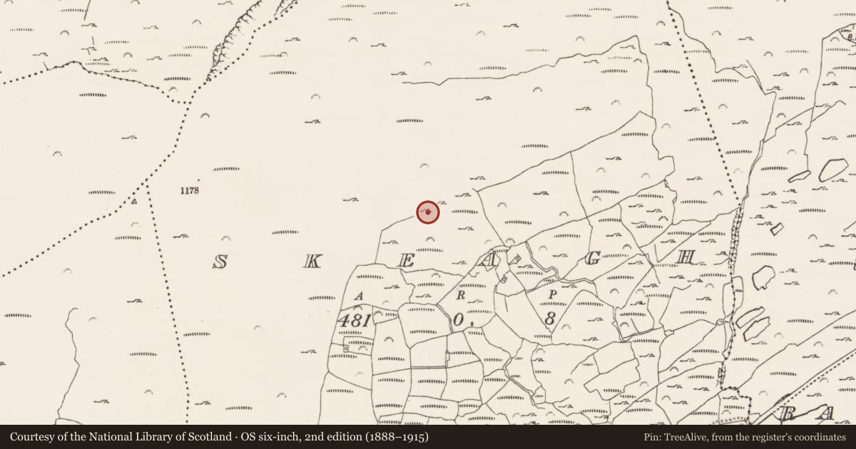 Ordnance Survey six-inch map, 2nd edition (1888–1915) covering the location of Hut site, Skeagh, County Cork, with a pin at the register's coordinates