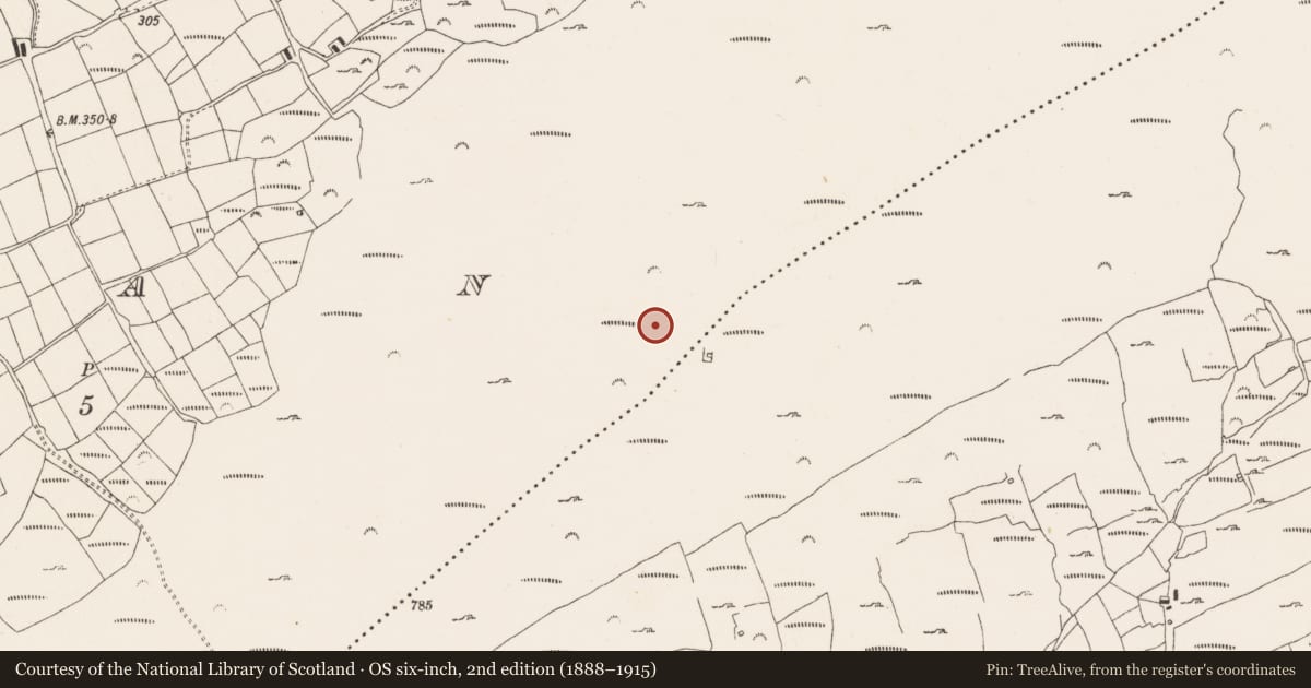 Ordnance Survey six-inch map, 2nd edition (1888–1915) covering the location of Cairn - unclassified, Glan, County Cork, with a pin at the register's coordinates