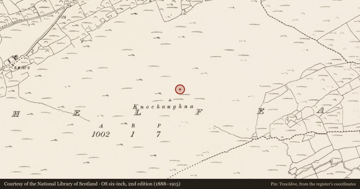 Ordnance Survey six-inch map, 2nd edition (1888–1915) covering the location of Hut site, Cashelfean, County Cork, with a pin at the register's coordinates
