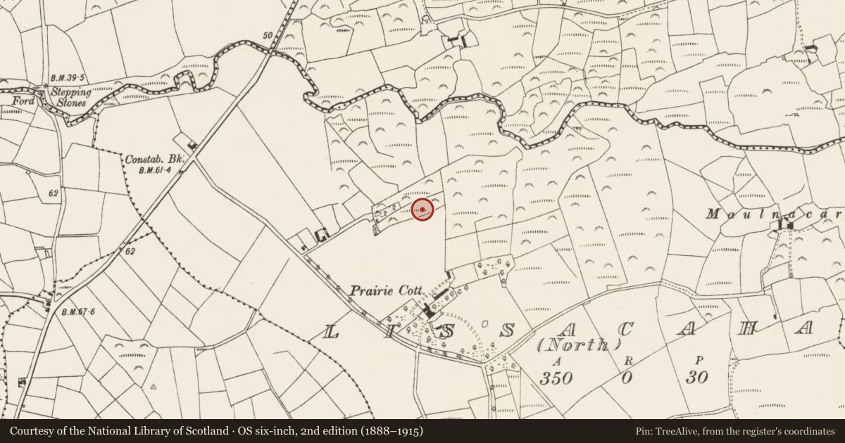Ordnance Survey six-inch map, 2nd edition (1888–1915) covering the location of Cupmarked stone, Lissacaha, County Cork, with a pin at the register's coordinates