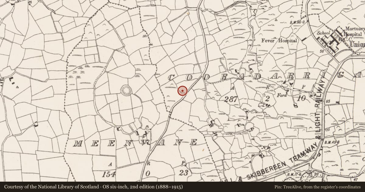 Ordnance Survey six-inch map, 2nd edition (1888–1915) covering the location of Rock art, Cooradarrigan, County Cork, with a pin at the register's coordinates