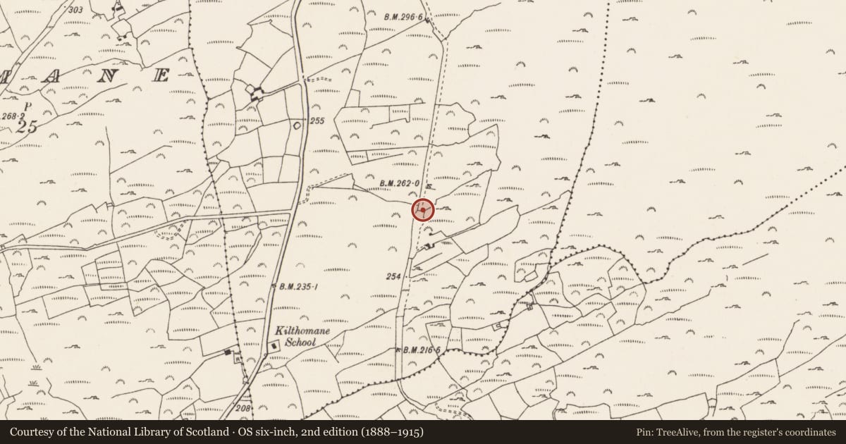 Ordnance Survey six-inch map, 2nd edition (1888–1915) covering the location of Ritual site - holy well, Cashelfean, County Cork, with a pin at the register's coordinates