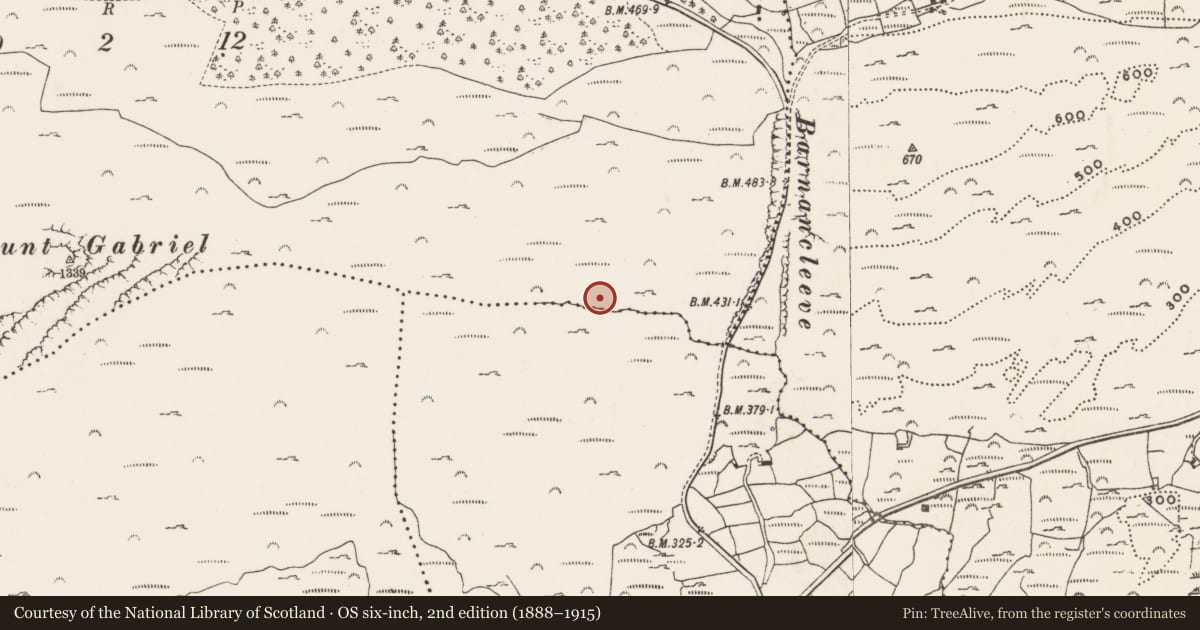 Ordnance Survey six-inch map, 2nd edition (1888–1915) covering the location of Mine - copper, Mountgabriel, County Cork, with a pin at the register's coordinates