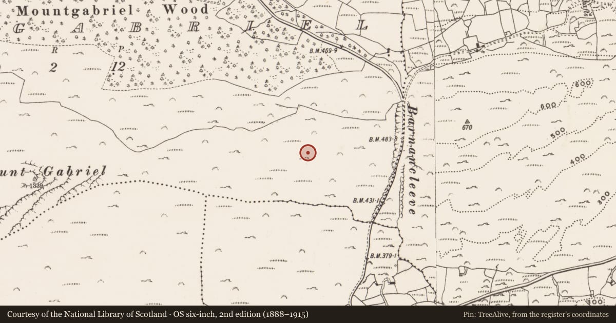 Ordnance Survey six-inch map, 2nd edition (1888–1915) covering the location of Mine - copper, Mountgabriel, County Cork, with a pin at the register's coordinates