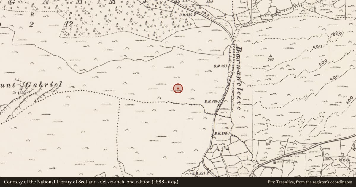 Ordnance Survey six-inch map, 2nd edition (1888–1915) covering the location of Mine - copper, Mountgabriel, County Cork, with a pin at the register's coordinates