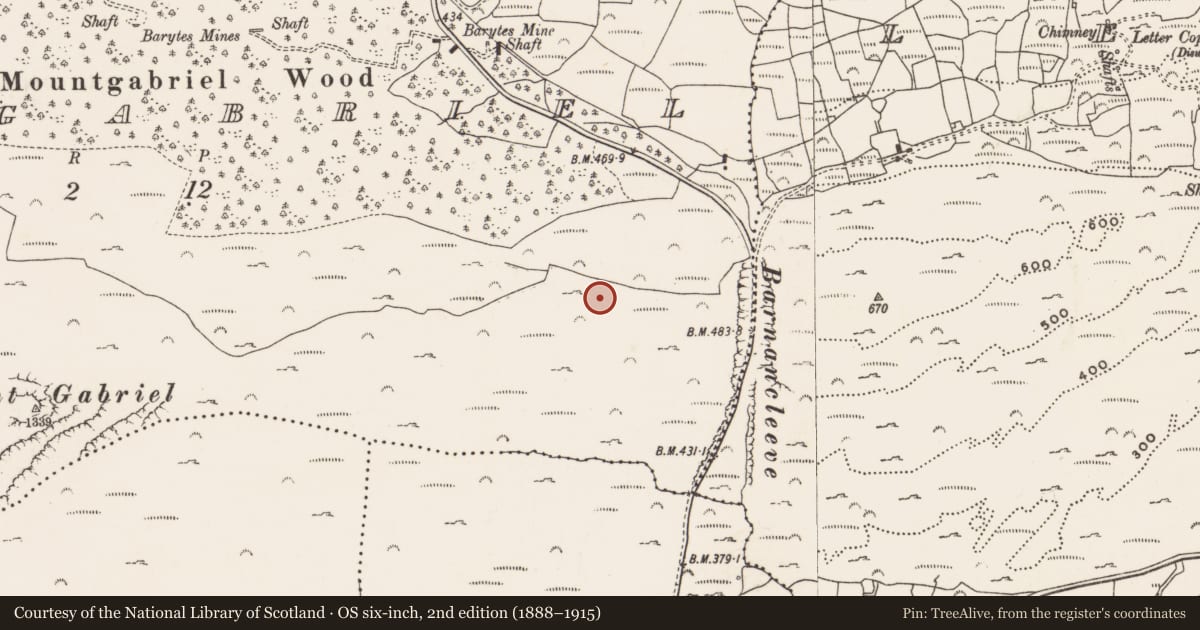 Ordnance Survey six-inch map, 2nd edition (1888–1915) covering the location of Mine - copper, Mountgabriel, County Cork, with a pin at the register's coordinates