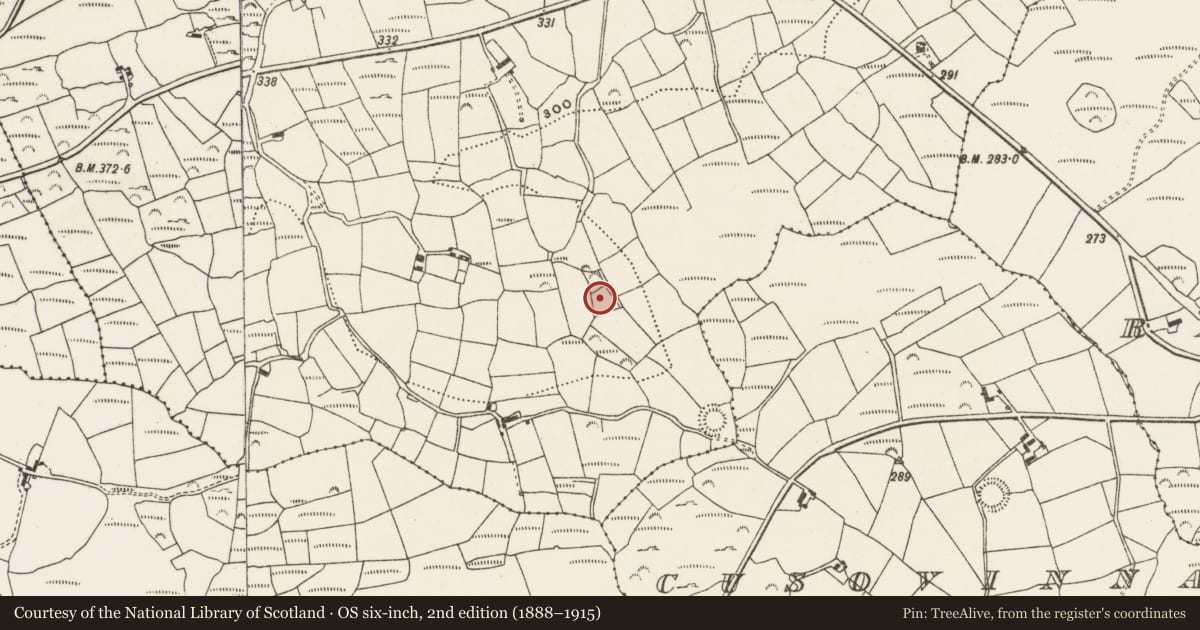 Ordnance Survey six-inch map, 2nd edition (1888–1915) covering the location of Ringfort - rath, Derreennalomane, County Cork, with a pin at the register's coordinates