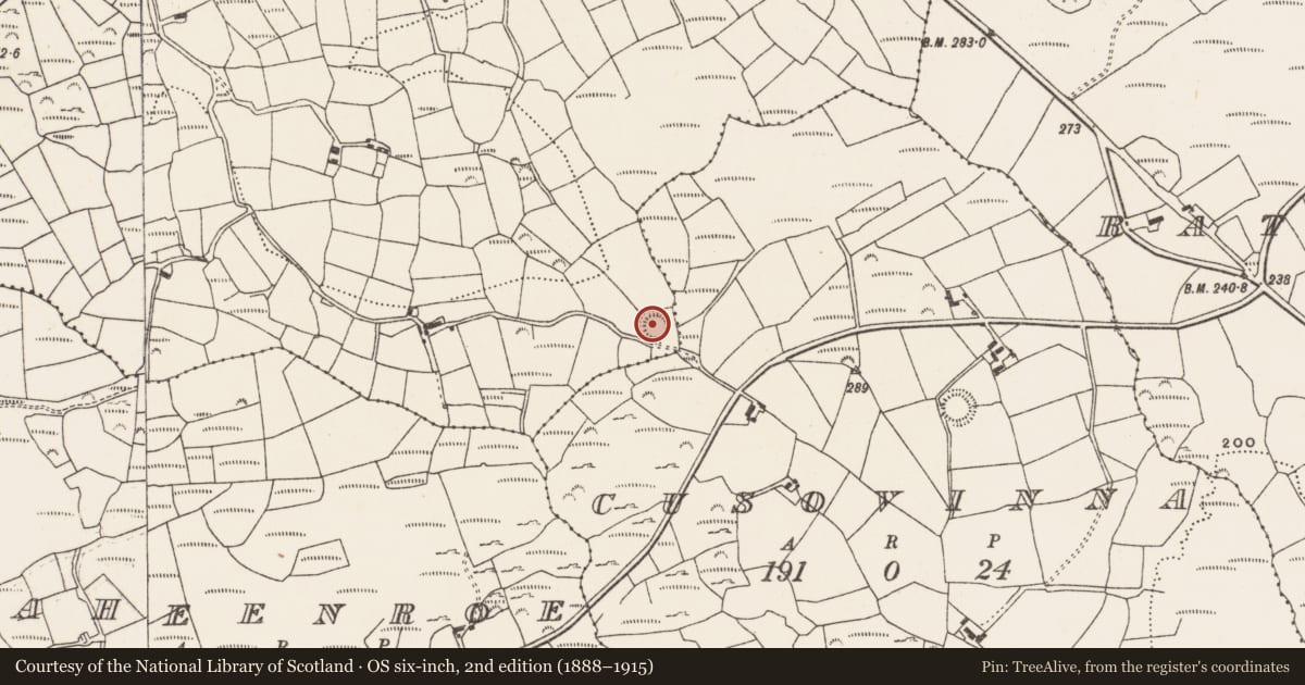 Ordnance Survey six-inch map, 2nd edition (1888–1915) covering the location of Ringfort - rath, Derreennalomane, County Cork, with a pin at the register's coordinates