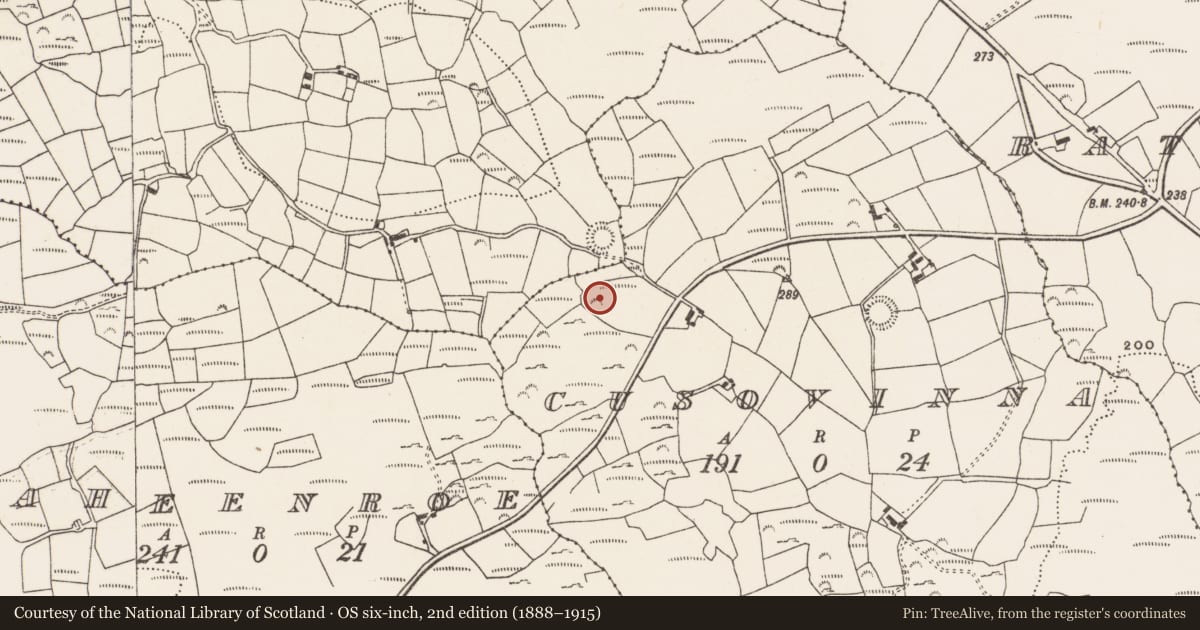 Ordnance Survey six-inch map, 2nd edition (1888–1915) covering the location of Cairn - unclassified, Cusovinna, County Cork, with a pin at the register's coordinates