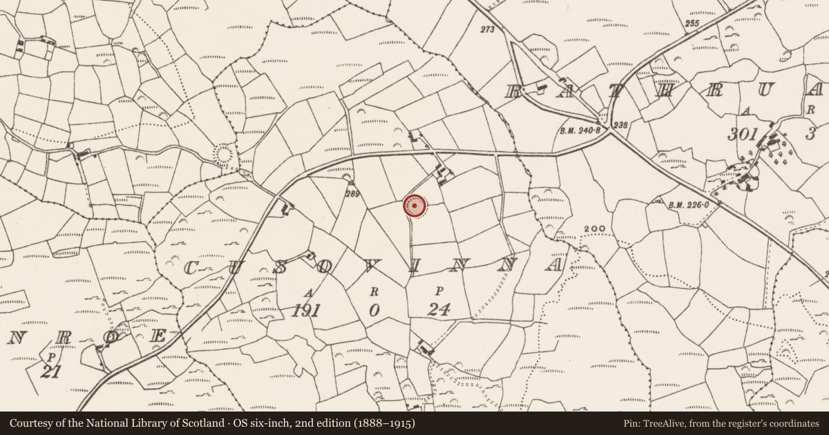 Ordnance Survey six-inch map, 2nd edition (1888–1915) covering the location of Ringfort - rath, Cusovinna, County Cork, with a pin at the register's coordinates