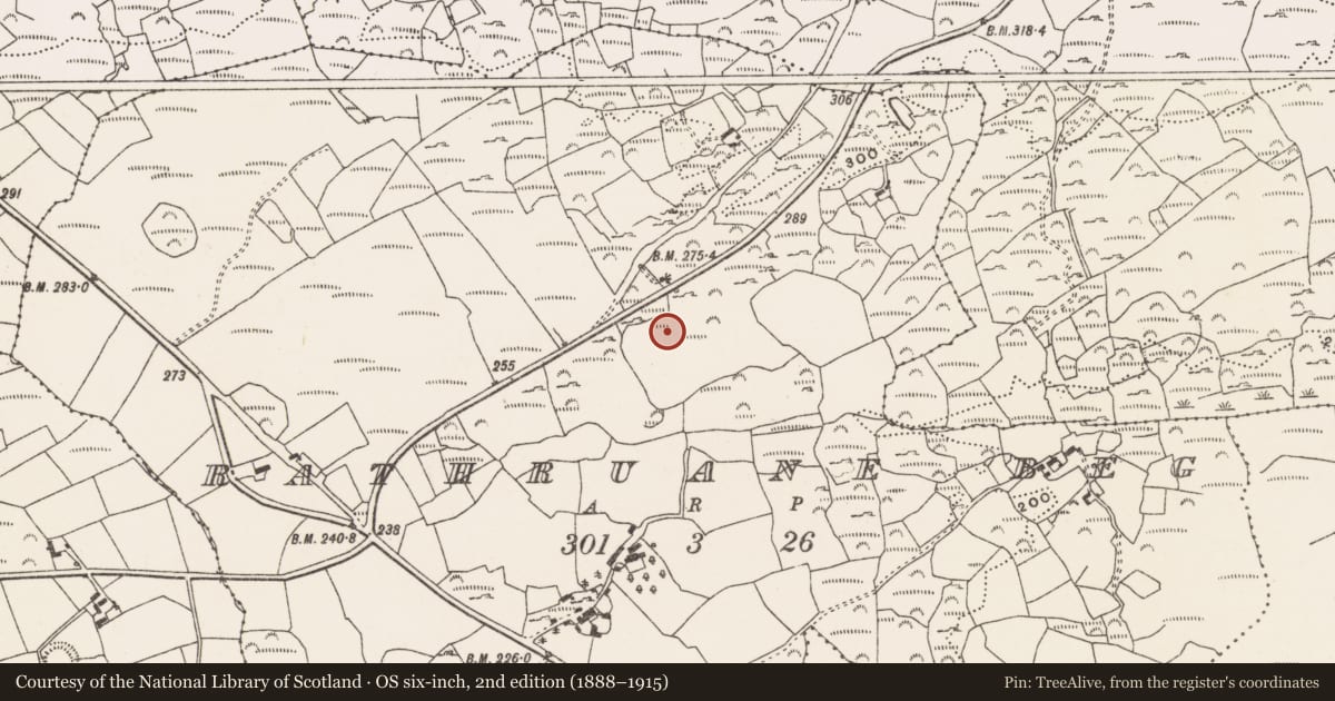 Ordnance Survey six-inch map, 2nd edition (1888–1915) covering the location of Standing stone, Rathruane Beg, County Cork, with a pin at the register's coordinates