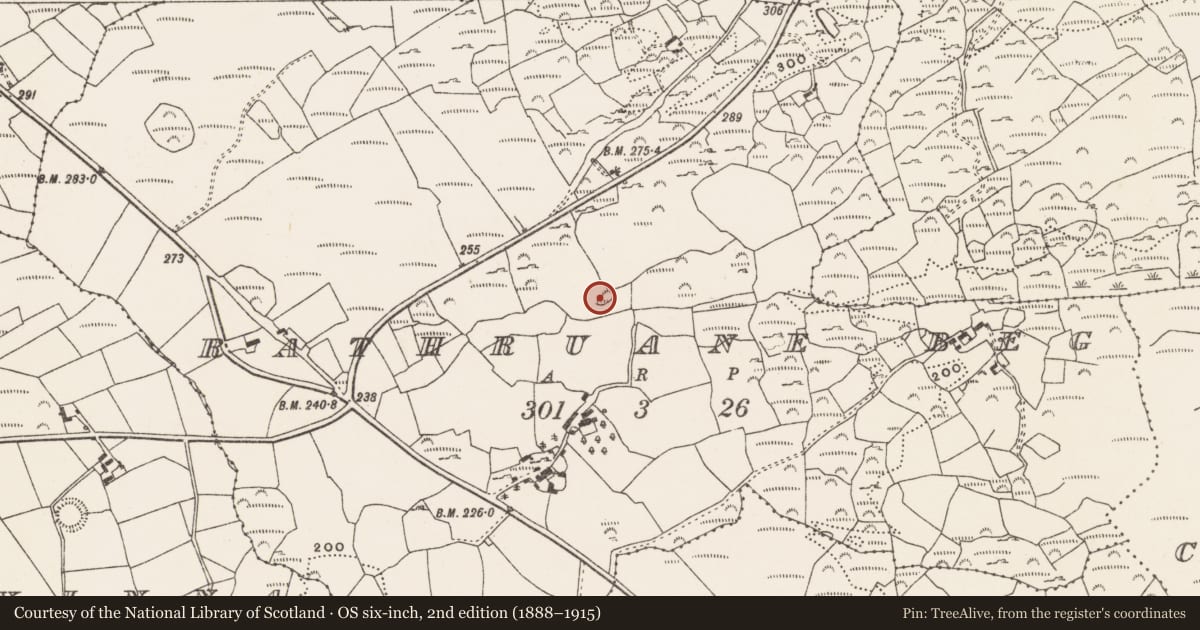 Ordnance Survey six-inch map, 2nd edition (1888–1915) covering the location of Ringfort - cashel, Rathruane Beg, County Cork, with a pin at the register's coordinates