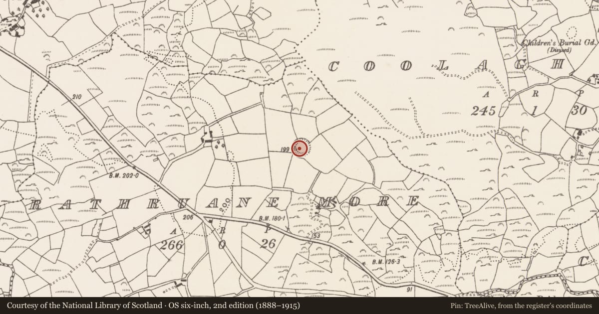 Ordnance Survey six-inch map, 2nd edition (1888–1915) covering the location of Souterrain, Rathruane More, County Cork, with a pin at the register's coordinates
