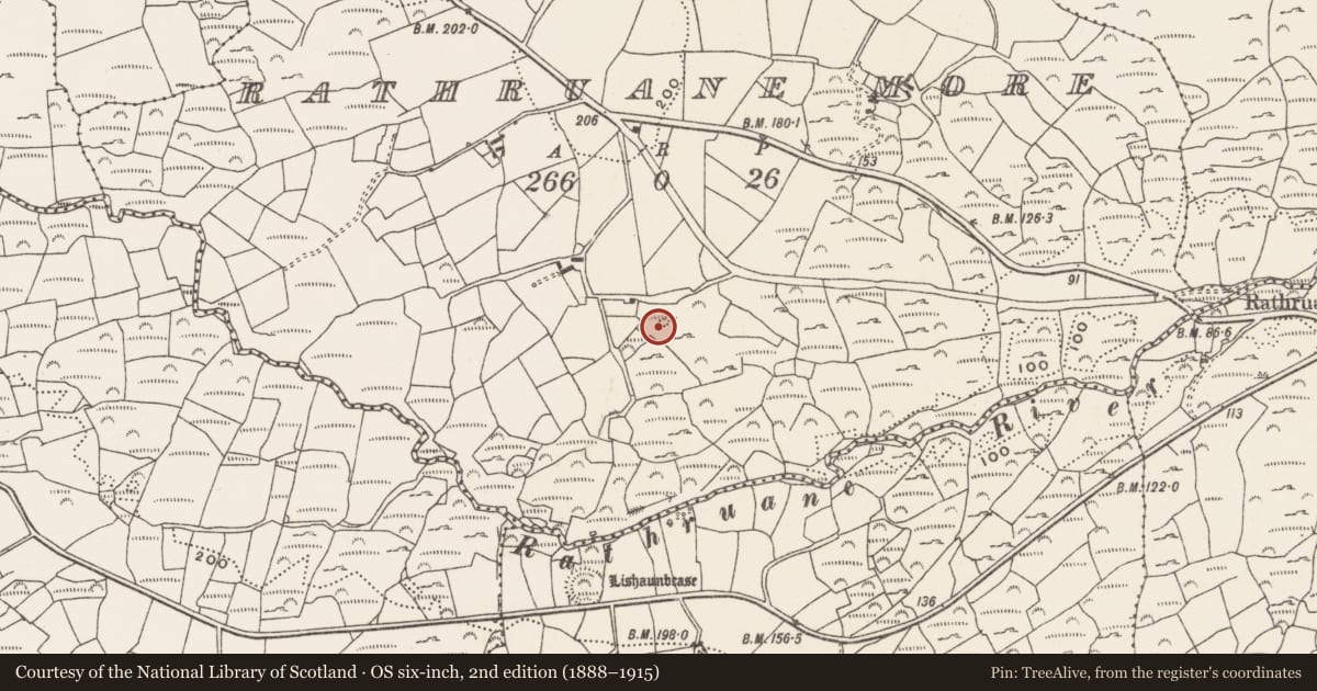 Ordnance Survey six-inch map, 2nd edition (1888–1915) covering the location of Rock art, Rathruane More, County Cork, with a pin at the register's coordinates