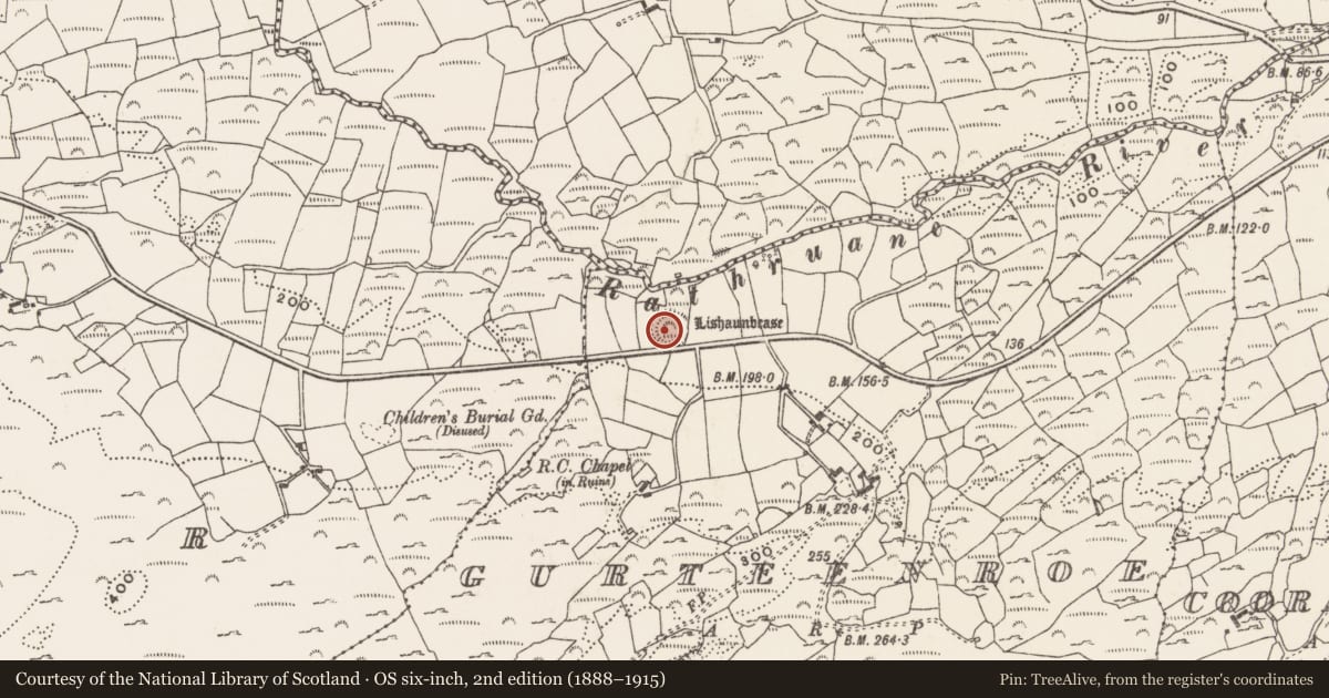 Ordnance Survey six-inch map, 2nd edition (1888–1915) covering the location of Ringfort - rath, Gurteenroe (Carbery West (W.D) By., Skull Par.), County Cork, with a pin at the register's coordinates