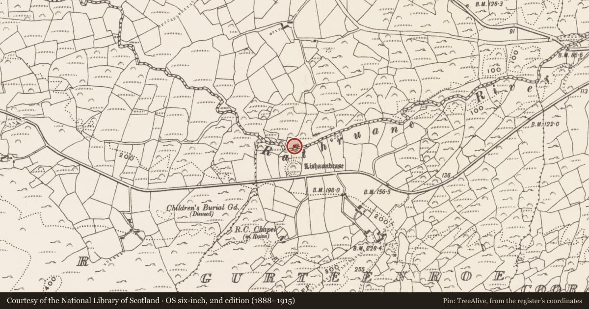 Ordnance Survey six-inch map, 2nd edition (1888–1915) covering the location of Mill - fulling, Rathruane More, County Cork, with a pin at the register's coordinates