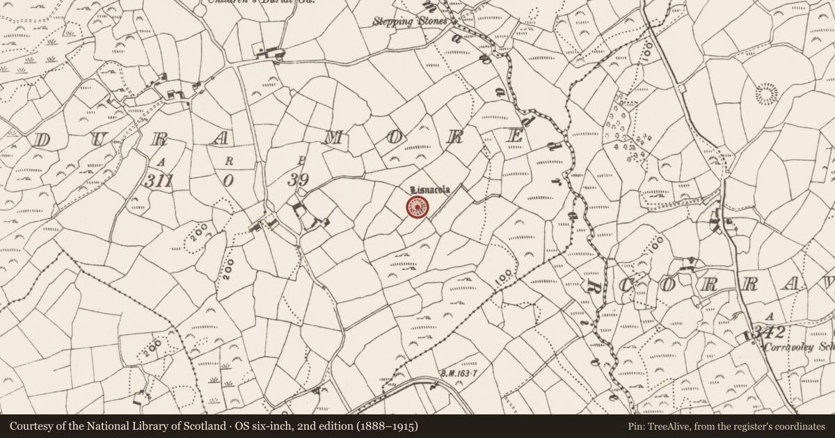 Ordnance Survey six-inch map, 2nd edition (1888–1915) covering the location of Ringfort - rath, Ardura More, County Cork, with a pin at the register's coordinates