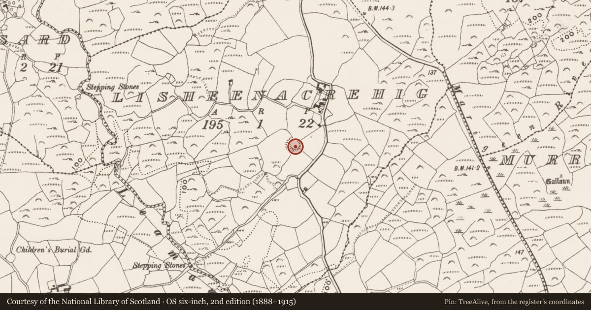 Ordnance Survey six-inch map, 2nd edition (1888–1915) covering the location of Ringfort - rath, Lisheenacrehig, County Cork, with a pin at the register's coordinates
