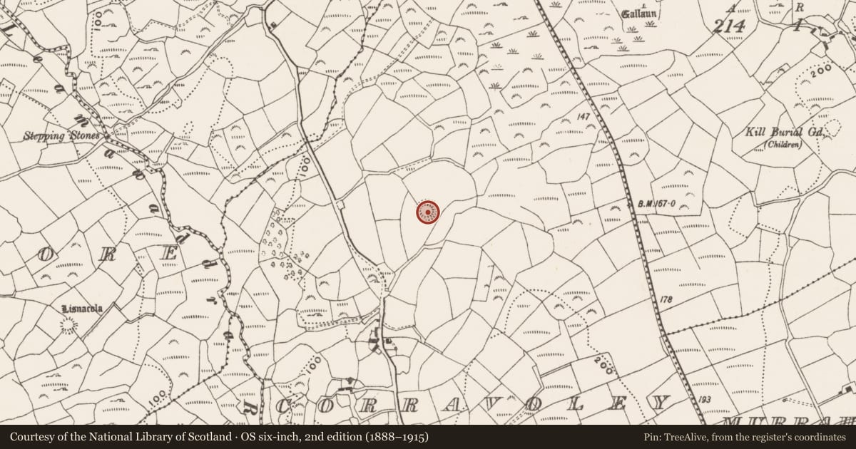 Ordnance Survey six-inch map, 2nd edition (1888–1915) covering the location of Ringfort - rath, Corravoley, County Cork, with a pin at the register's coordinates