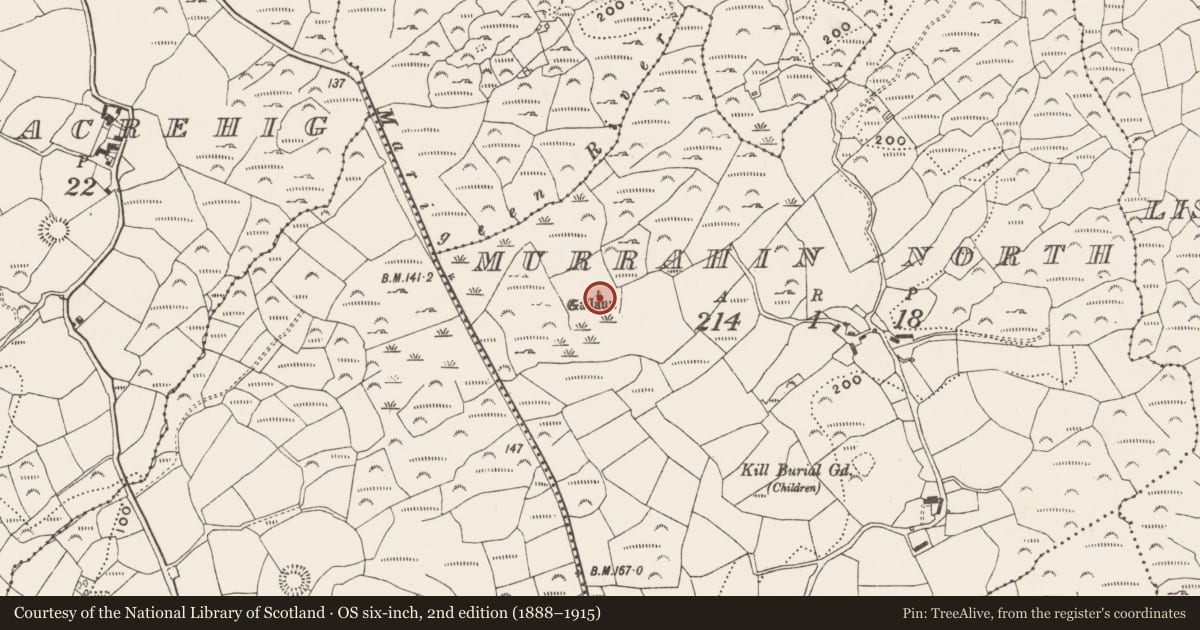 Ordnance Survey six-inch map, 2nd edition (1888–1915) covering the location of Stone row, Murrahin North, County Cork, with a pin at the register's coordinates
