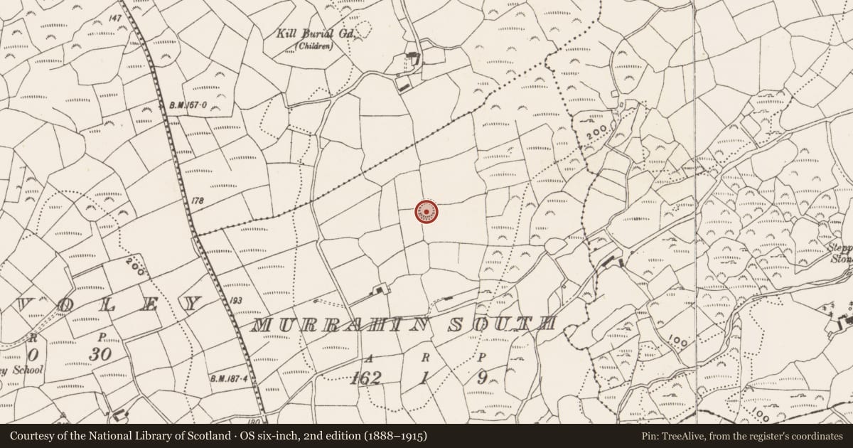 Ordnance Survey six-inch map, 2nd edition (1888–1915) covering the location of Ringfort - rath, Murrahin South, County Cork, with a pin at the register's coordinates