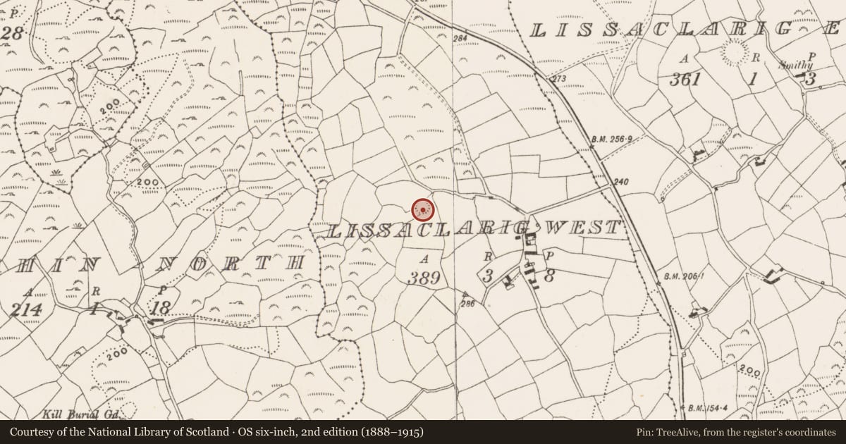 Ordnance Survey six-inch map, 2nd edition (1888–1915) covering the location of Ringfort - rath, Lissaclarig West, County Cork, with a pin at the register's coordinates