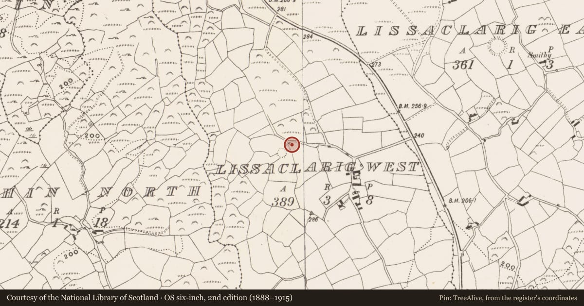 Ordnance Survey six-inch map, 2nd edition (1888–1915) covering the location of Stone row, Lissaclarig West, County Cork, with a pin at the register's coordinates