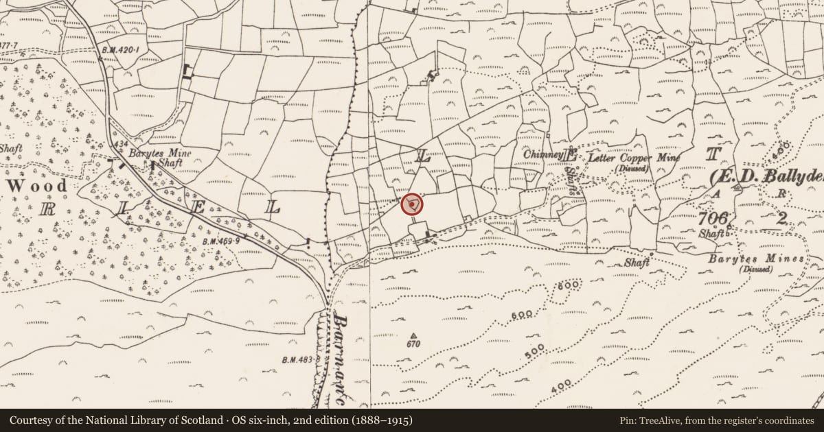 Ordnance Survey six-inch map, 2nd edition (1888–1915) covering the location of Enclosure, Letter (Carbery West (W.D) By., Skull Par.), County Cork, with a pin at the register's coordinates