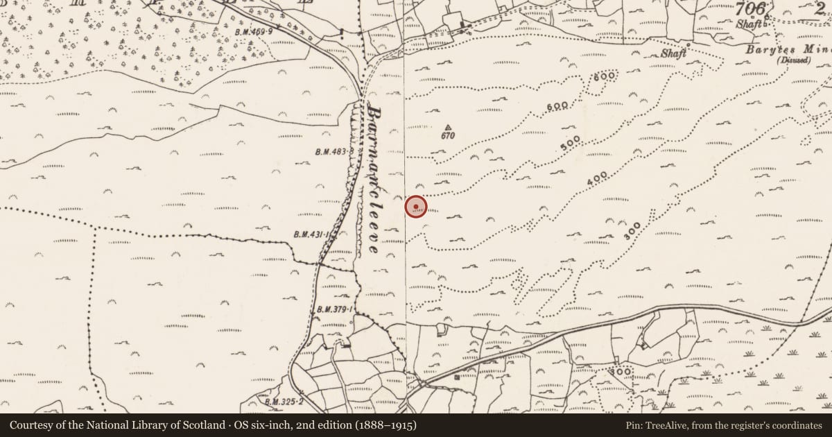 Ordnance Survey six-inch map, 2nd edition (1888–1915) covering the location of Mine - copper, Letter (Carbery West (W.D) By., Skull Par.), County Cork, with a pin at the register's coordinates
