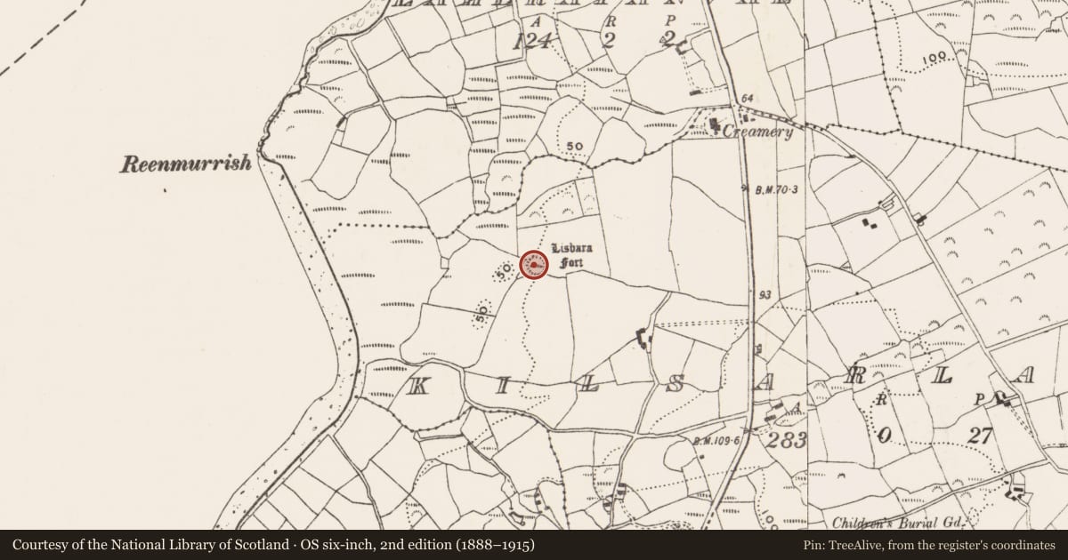 Ordnance Survey six-inch map, 2nd edition (1888–1915) covering the location of Ringfort - rath, Kilsarlaght, County Cork, with a pin at the register's coordinates