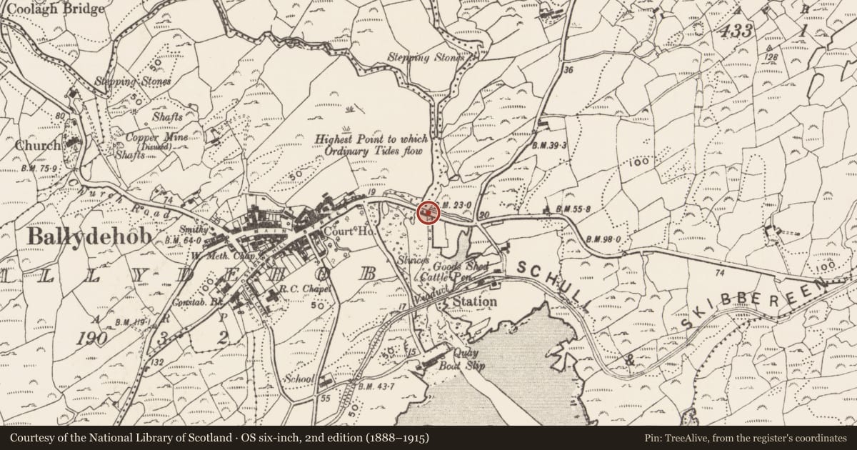 Ordnance Survey six-inch map, 2nd edition (1888–1915) covering the location of Bridge, Ballydehob, County Cork, with a pin at the register's coordinates