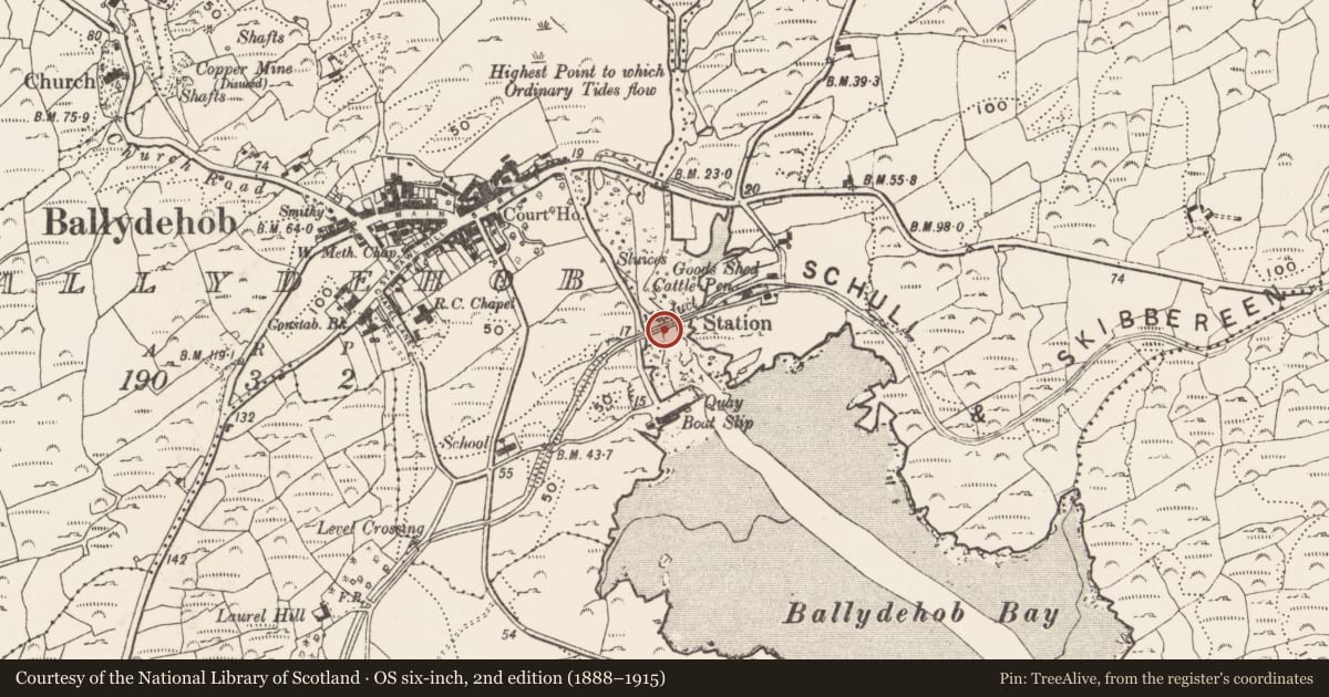 Ordnance Survey six-inch map, 2nd edition (1888–1915) covering the location of Railway bridge, Ballydehob, County Cork, with a pin at the register's coordinates