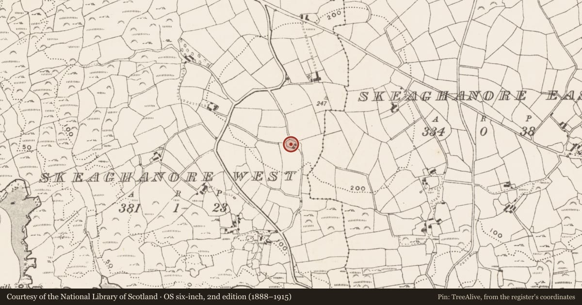 Ordnance Survey six-inch map, 2nd edition (1888–1915) covering the location of Ringfort - rath, Skeaghanore West, County Cork, with a pin at the register's coordinates