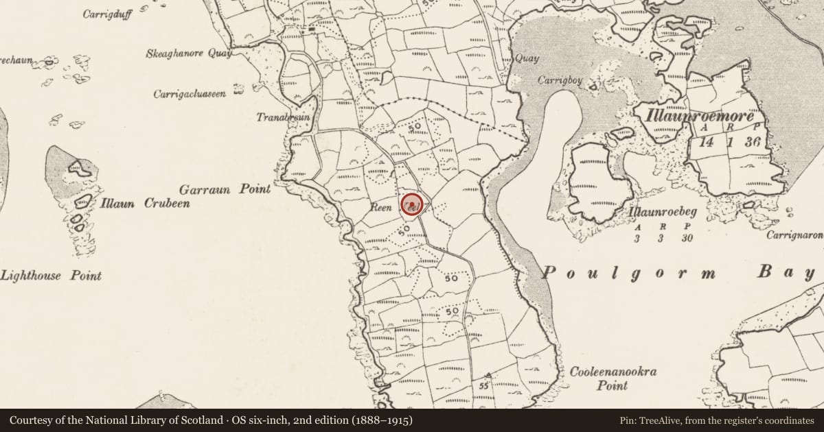 Ordnance Survey six-inch map, 2nd edition (1888–1915) covering the location of Burial ground, Skeaghanore West, County Cork, with a pin at the register's coordinates
