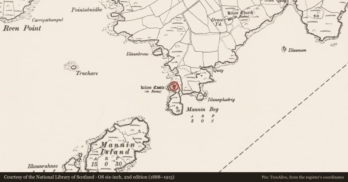 Ordnance Survey six-inch map, 2nd edition (1888–1915) covering the location of Castle - tower house, Kilcoe, County Cork, with a pin at the register's coordinates