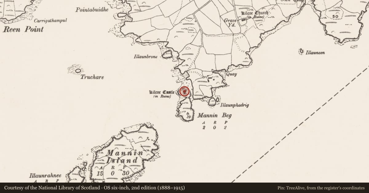 Ordnance Survey six-inch map, 2nd edition (1888–1915) covering the location of Bawn, Kilcoe, County Cork, with a pin at the register's coordinates