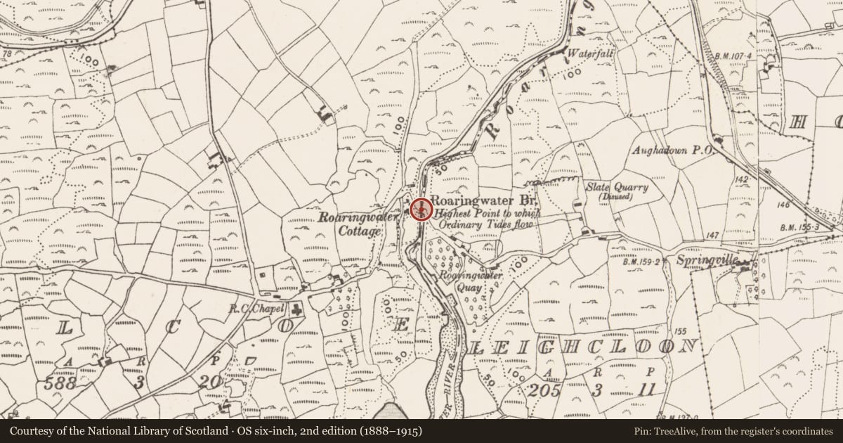 Ordnance Survey six-inch map, 2nd edition (1888–1915) covering the location of Bridge, Kilcoe, County Cork, with a pin at the register's coordinates