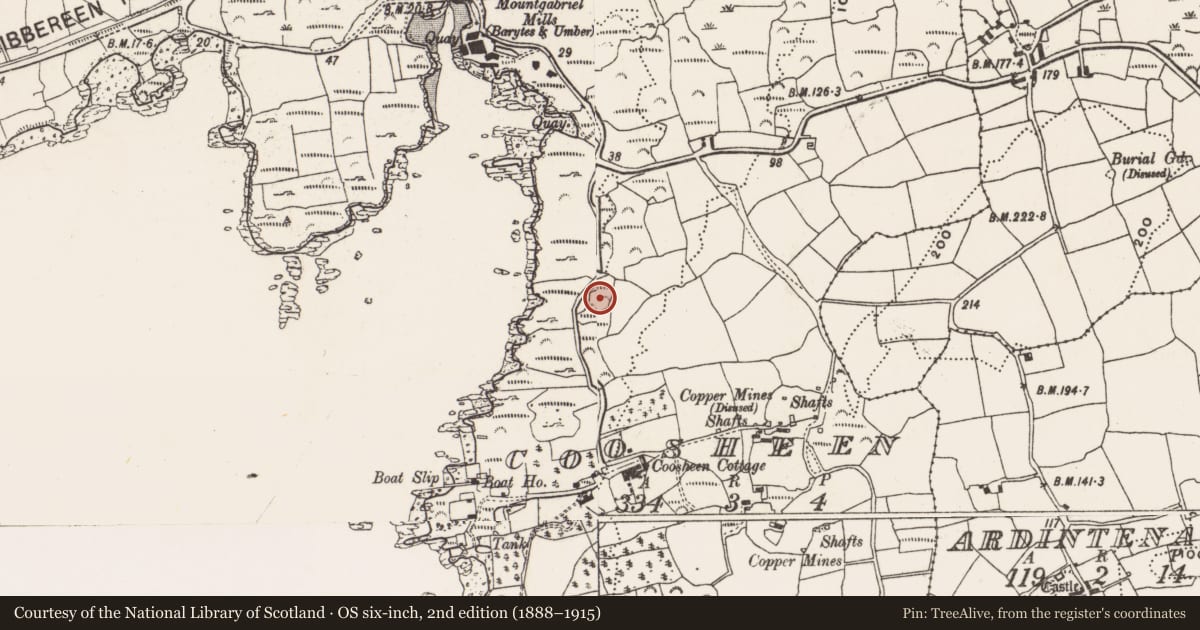 Ordnance Survey six-inch map, 2nd edition (1888–1915) covering the location of Souterrain, Coosheen, County Cork, with a pin at the register's coordinates