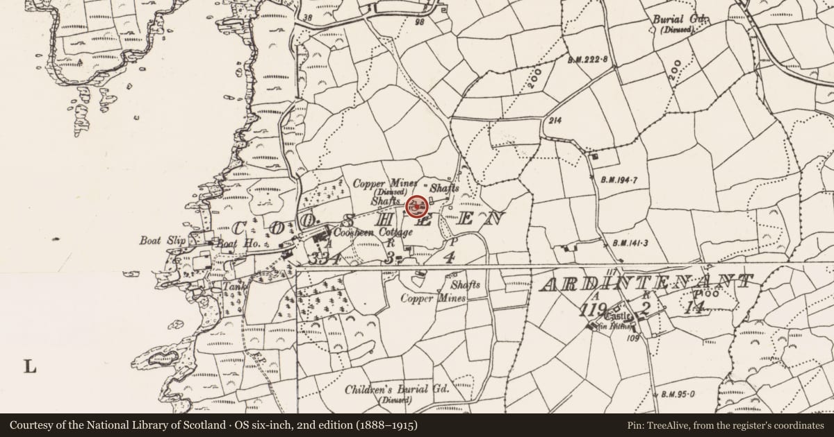 Ordnance Survey six-inch map, 2nd edition (1888–1915) covering the location of Mining complex, Coosheen, County Cork, with a pin at the register's coordinates