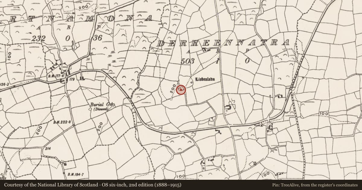 Ordnance Survey six-inch map, 2nd edition (1888–1915) covering the location of Enclosure, Derreennatra, County Cork, with a pin at the register's coordinates