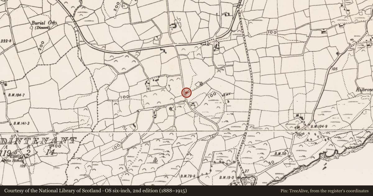 Ordnance Survey six-inch map, 2nd edition (1888–1915) covering the location of Cupmarked stone, Derreennatra, County Cork, with a pin at the register's coordinates